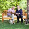 62.5 Inches Patio 3-Seat Wood Bench with Soft Seat Cushions